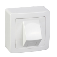 Alréa, RJ45 simple catégorie 6 UTP avec cadre saillie, blanc polaire - ALB62342P