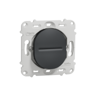 Ovalis - bouton poussoir à fermeture - 10A - à - sans plaque -Anthracite  - S461206
