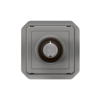 Interrupteur à clés Ronis 2 positions Plexo composable gris - 069534L