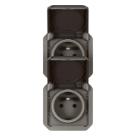 Prise de courant 2x2P+T verticale Plexo composable anthracite - 069843L