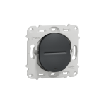 Ovalis - interrupteur va et vient - 10AX - lumineux - sans plaque  -Anthracite  - S461263