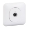 Ovalis - prise TV - S260405