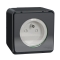 Mureva Styl - Prise courant 2P+T - saillie - IP55 - IK08 - connexion auto - gris - Schneider Electric - MUR35031
