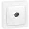 Prise télévision simple mâle - Appareillage saillie complet - blanc - 086040