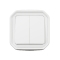 Commande double interrupteur ou poussoir Plexo complet saillie blanc - 069755L