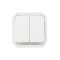 Commande double interrupteur ou poussoir lumineux Plexo composable blanc - 069626L