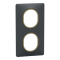 Ovalis - plaque de finition - 2 postes vertical - 71mm - anthracite bague laiton - S340724E