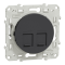 Odace, prise double RJ45 anthracite, grade 3 (multimédia) cat. 6 STP, à vis - S540486