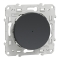 Wiser Odace - bouton poussoir - 10A - zigbee - anthracite