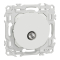 Prise TV simple mâle sortie coaxiale Odace Blanc craie - Schneider Electric - S920445