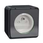 Mureva Styl - Prise courant 2P+T - saillie - IP55 - IK08 - connexion auto - gris - Schneider Electric - MUR35031